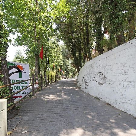 Oyo 5248 Surbee Resorts Mussoorie Zewnętrze zdjęcie